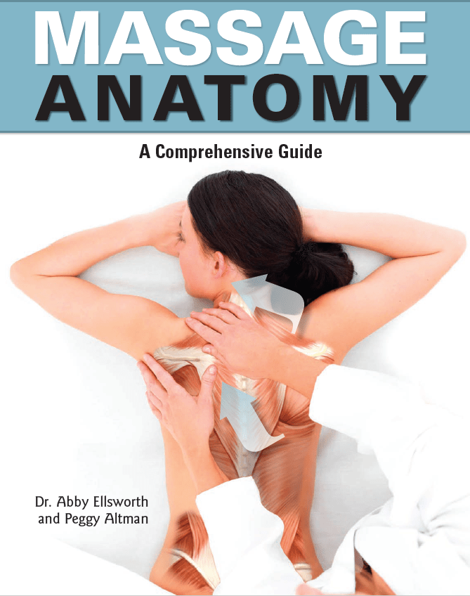 تشريح التدليك - كتاب إلكتروني شامل للدليل