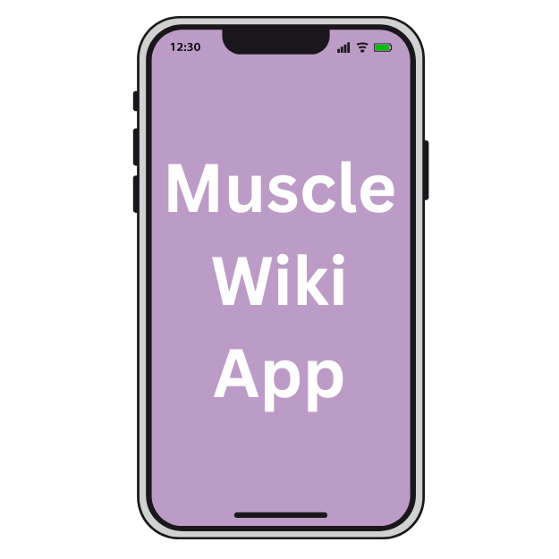 $17 Muscles Wiwi App