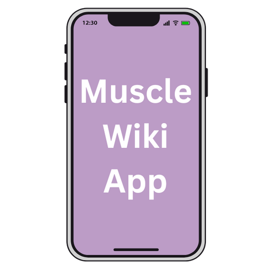 $17 Muscles Wiwi App